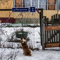 Пришел,называется в гости.. :: Алексей Сараев