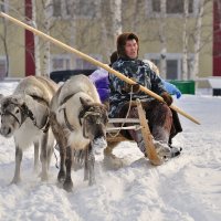 Самолет хорошо,а олени лучше. :: Анатолий Анищик