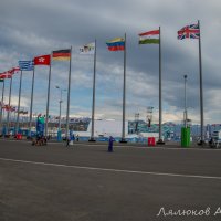 Олимпийский парк :: Александр Лялюков