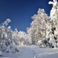 Зимние зарисовки :: Анатолий Катков