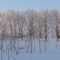 ОКРЕСТНОСТИ :: Виктор Осипчук