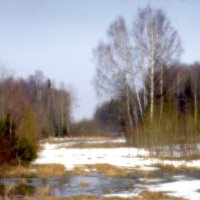 Весна в лесу :: Валерий Талашов