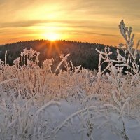 Зимний закат :: Валерий Талашов
