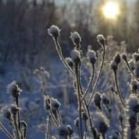 зима :: Валерия Матикайнен