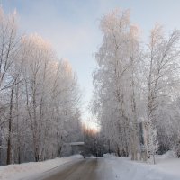 Зимняя дорога :: Светлана Кулешова