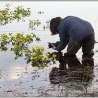 В погоне за шедевром :: Михаил Розенберг