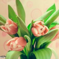 тюльпани :: Halyna Hnativ
