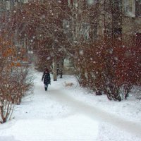 Снег идет :: Аркадий Пазовский