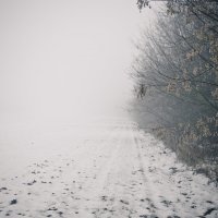 Туман :: Евгений Фомин