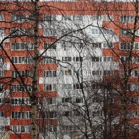 Взгляд из окна :: Владимир Гилясев