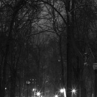 Ночная аллея :: Дмитрий Авдонин