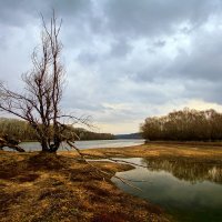 *** :: Евгений Кутузов