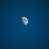 Луна :: Роман Романенко