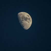 Луна 2 :: Роман Романенко
