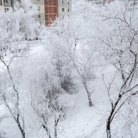 Последний день зимы :: Олег Зак