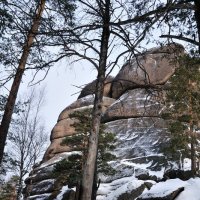 Красноярские столбы. :: Андрей В.