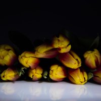 тюльпаны почти готика :: Роман Червов