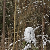 Снежные скульптуры людей в лесу. :: Валерий. Талбутдинов.