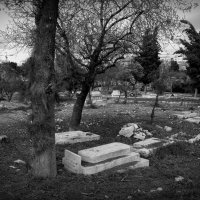 Заброшенное арабское кладбище в центре города. Иерусалим. :: Алла Шапошникова