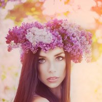 lilac :: Katerina Gorays