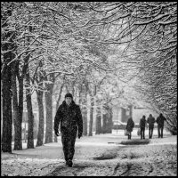 Весенний снегопад. :: Vladimir Kraft
