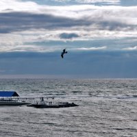 Анапа, Черное море...После шторма :: Виктор Скайбери