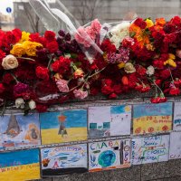 Цветы Майдана :: Олег Самотохин