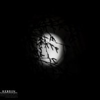 Луна :: Gennadi Kebrin