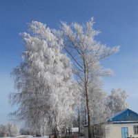 зима подарила красивый день :: алексей затеев