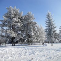 сельский ДК парк. :: алексей затеев