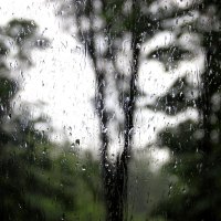 Дождь. :: Владимир Бекетов