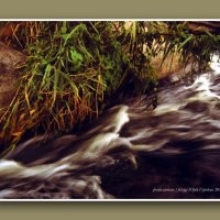 ВОДЯННАЯ ДИВА ИЗ ПЕНЫ НИ ГРАММА ФОТОШОПА НАТЮРЕЛЬ :: Yuriy Gorobets 