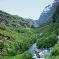 зеленые воды Норвегии (ж.д. Флом) :: Елена Познокос