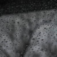 дождь :: Amana Sakura 