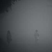 в тумане :: Светлана Фомина