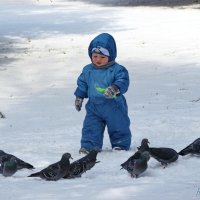 Юный натуралист :: Евгений Софронов