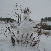 Снеговик :: Толя Толубеев