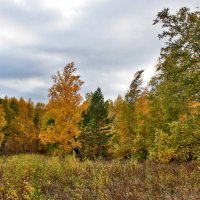 В осенних нарядах :: Александр Садовский