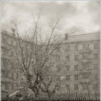 Весенний снегопад в г. Серове. :: Александр Рязанов