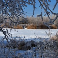 зимняя сказка :: Александра Основина