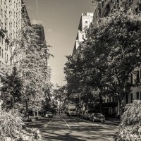 Streets of NYC :: Andy Zav