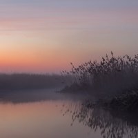 туман на реке :: александр макаренко