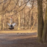 Я смогу! Я долечу! :: Лана Дмитриева