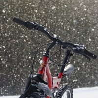 Прогулка под снегом :: Сергей Шаврин