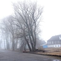 Весенний туман. :: Наталья Цветкова