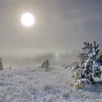 Зимний туман :: Георгийf 
