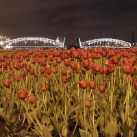 Мост Петра Великого :: Vasiliy 