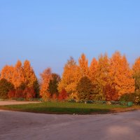 Осенние мотивы :: алексей затеев