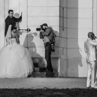 Жениху не до невесты :: Anatoli Schneidmiller