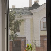 Серия - Окна. Цветы на окне.... :: Лилия *
